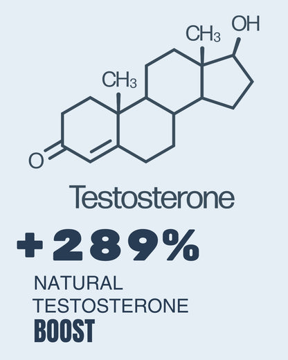 TESTORIQ .01 Become HIM Kit